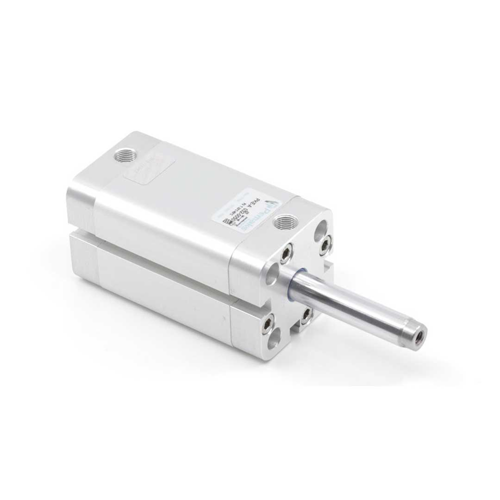 Пневмоцилиндр PKEA-100-005 Pemaks
